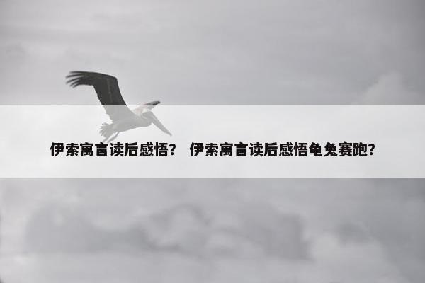 伊索寓言读后感悟？ 伊索寓言读后感悟龟兔赛跑？