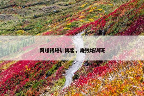 网赚钱培训博客，赚钱培训班