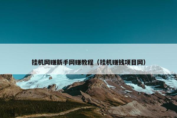 挂机网赚新手网赚教程（挂机赚钱项目网）