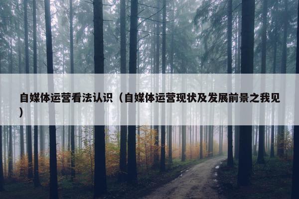自媒体运营看法认识（自媒体运营现状及发展前景之我见）