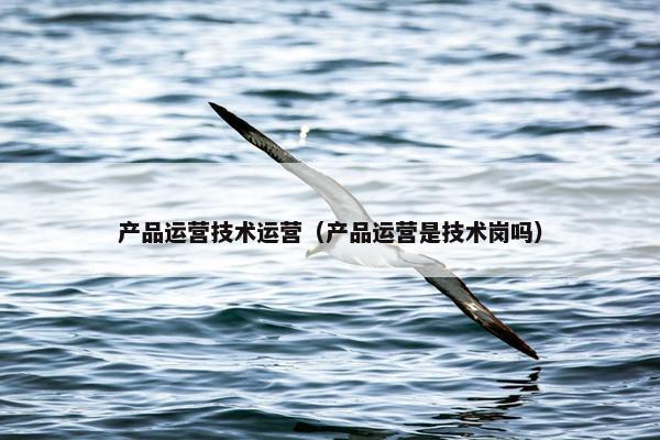 产品运营技术运营（产品运营是技术岗吗）