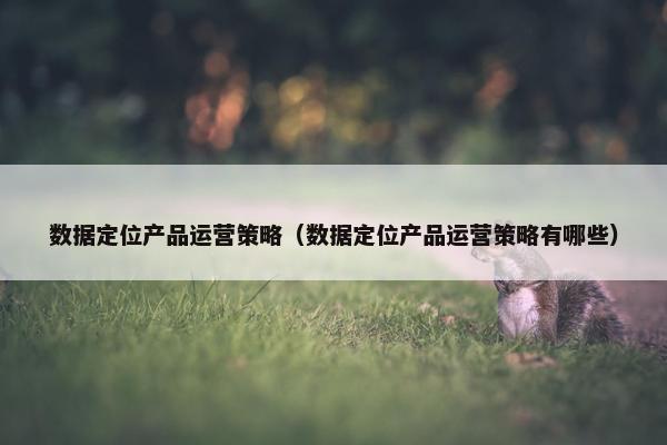 数据定位产品运营策略（数据定位产品运营策略有哪些）