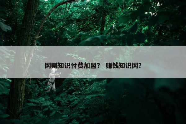 网赚知识付费加盟？ 赚钱知识网？