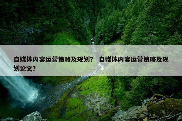 自媒体内容运营策略及规划？ 自媒体内容运营策略及规划论文？