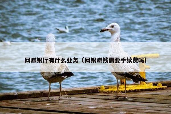 网赚银行有什么业务（网银赚钱需要手续费吗）