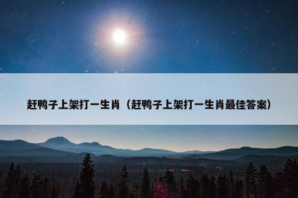 赶鸭子上架打一生肖（赶鸭子上架打一生肖最佳答案）