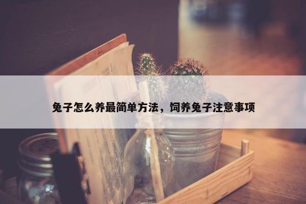 兔子怎么养最简单方法，饲养兔子注意事项
