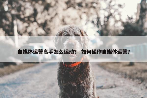 自媒体运营高手怎么运动？ 如何操作自媒体运营？
