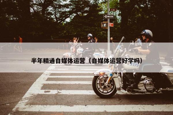 半年精通自媒体运营（自媒体运营好学吗）