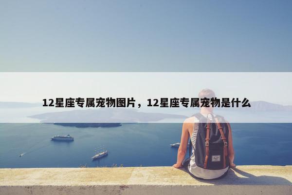 12星座专属宠物图片，12星座专属宠物是什么