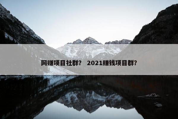 网赚项目社群？ 2021赚钱项目群？