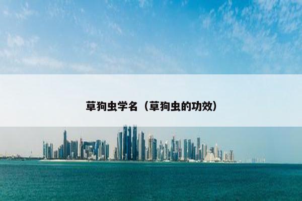 草狗虫学名（草狗虫的功效）
