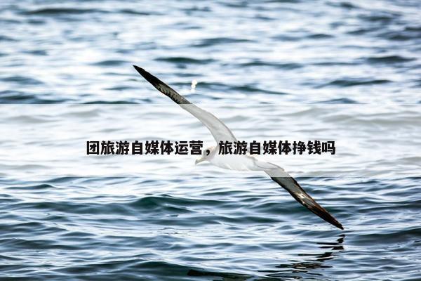团旅游自媒体运营，旅游自媒体挣钱吗