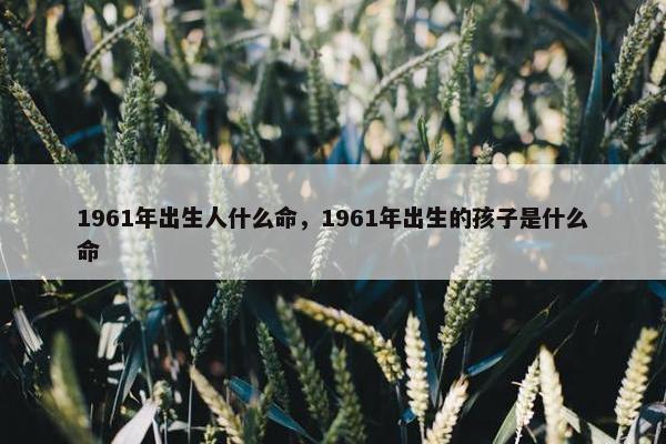 1961年出生人什么命，1961年出生的孩子是什么命