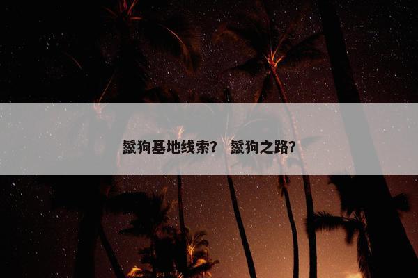鬣狗基地线索？ 鬣狗之路？