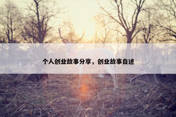 个人创业故事分享，创业故事自述