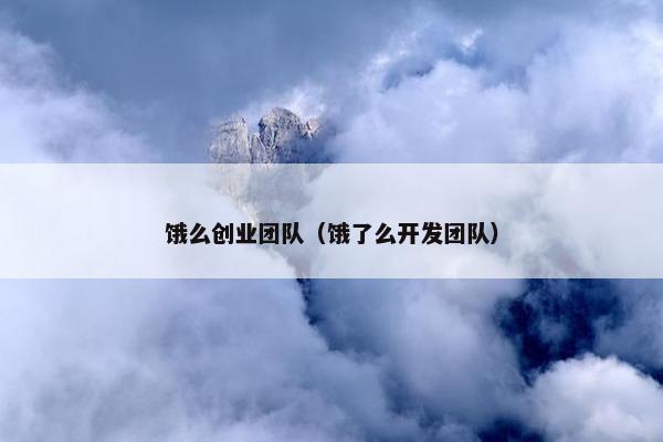 饿么创业团队（饿了么开发团队）