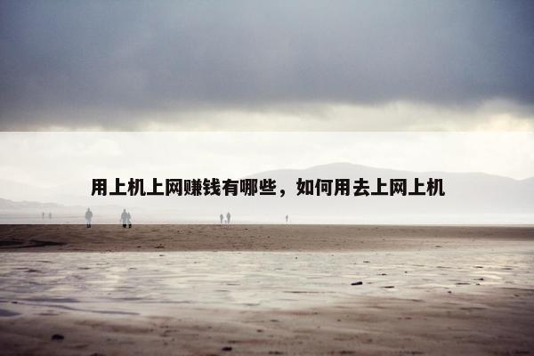 用上机上网赚钱有哪些，如何用去上网上机
