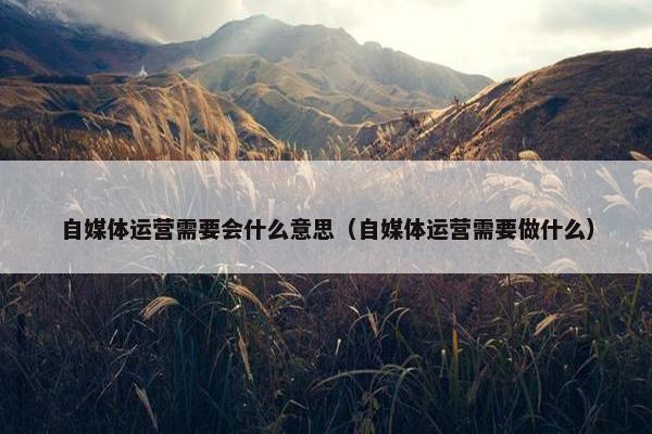自媒体运营需要会什么意思（自媒体运营需要做什么）