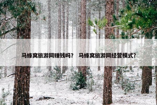 马蜂窝旅游网赚钱吗？ 马蜂窝旅游网经营模式？