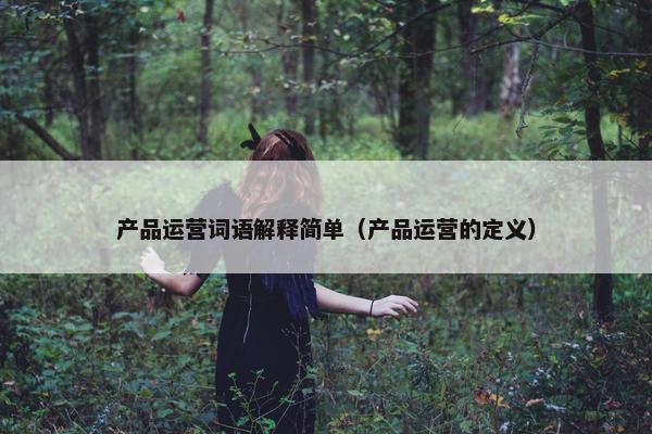 产品运营词语解释简单（产品运营的定义）