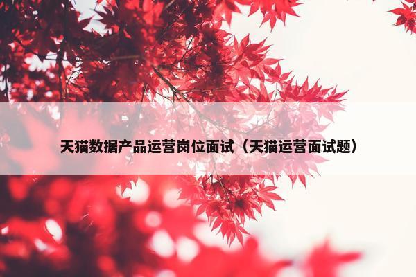 天猫数据产品运营岗位面试（天猫运营面试题）