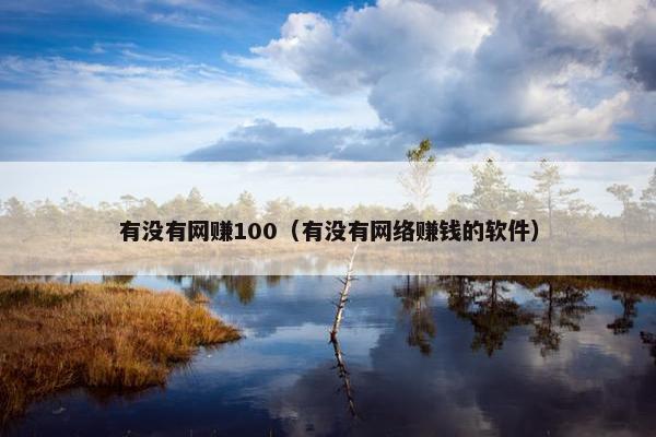 有没有网赚100（有没有网络赚钱的软件）