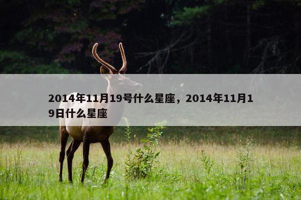 2014年11月19号什么星座，2014年11月19日什么星座