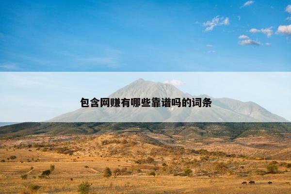 包含网赚有哪些靠谱吗的词条
