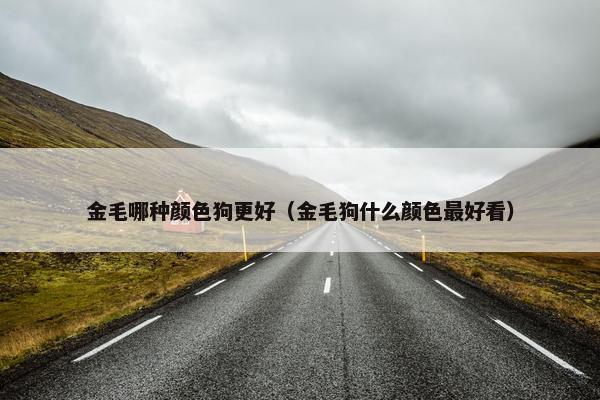 金毛哪种颜色狗更好（金毛狗什么颜色最好看）