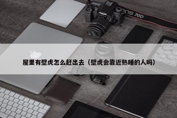 屋里有壁虎怎么赶出去（壁虎会靠近熟睡的人吗）