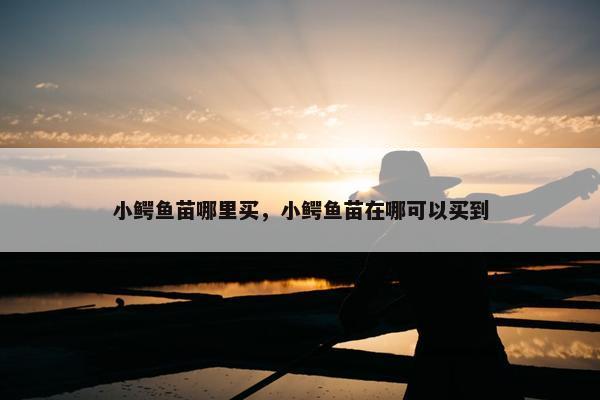 小鳄鱼苗哪里买，小鳄鱼苗在哪可以买到