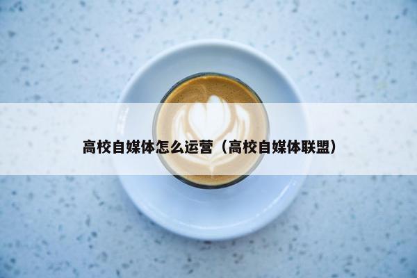 高校自媒体怎么运营（高校自媒体联盟）