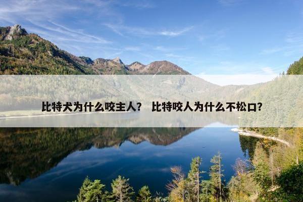 比特犬为什么咬主人？ 比特咬人为什么不松口？