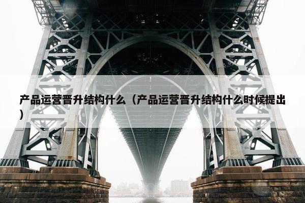 产品运营晋升结构什么（产品运营晋升结构什么时候提出）