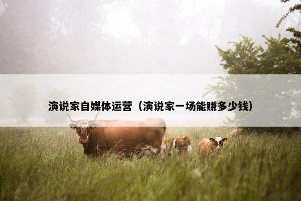 演说家自媒体运营（演说家一场能赚多少钱）
