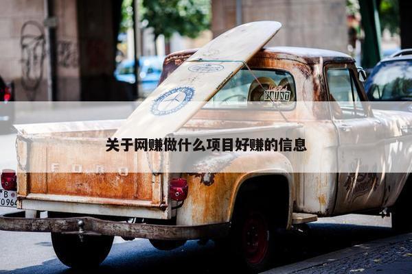 关于网赚做什么项目好赚的信息