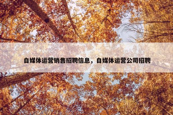 自媒体运营销售招聘信息，自媒体运营公司招聘