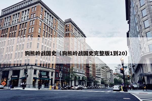 狗熊岭战国史（狗熊岭战国史完整版1到20）