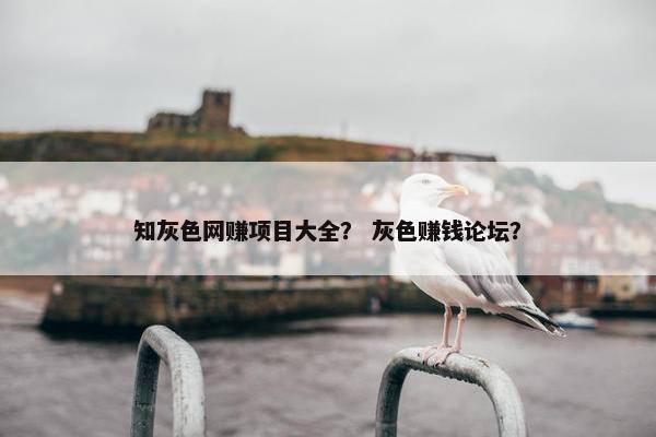 知灰色网赚项目大全？ 灰色赚钱论坛？