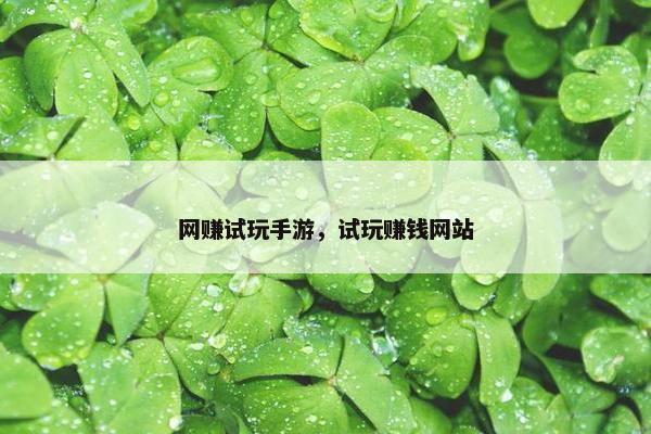 网赚试玩手游，试玩赚钱网站