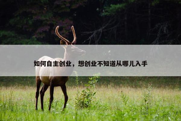 如何自主创业，想创业不知道从哪儿入手