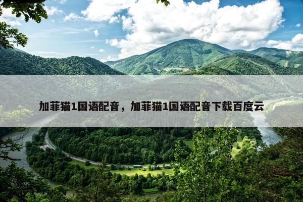 加菲猫1国语配音，加菲猫1国语配音下载百度云