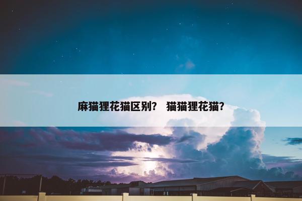 麻猫狸花猫区别？ 猫猫狸花猫？