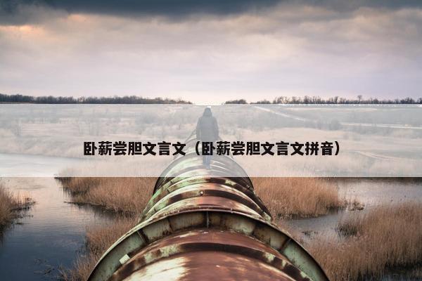 卧薪尝胆文言文（卧薪尝胆文言文拼音）