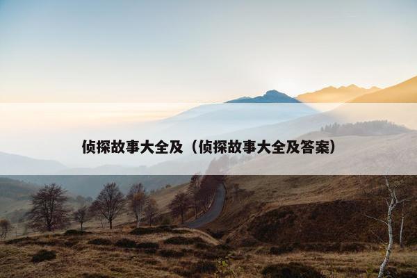 侦探故事大全及（侦探故事大全及答案）