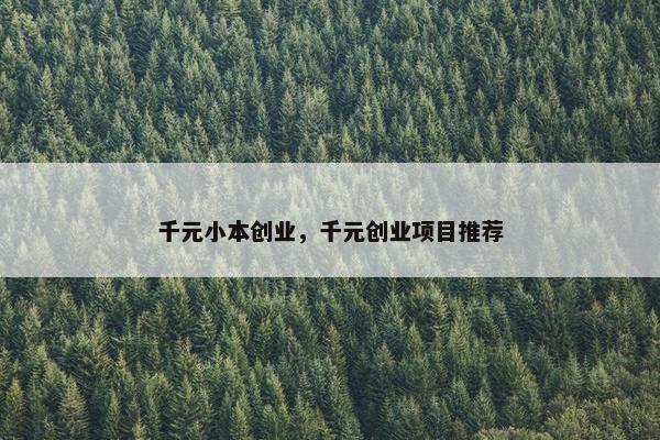千元小本创业，千元创业项目推荐