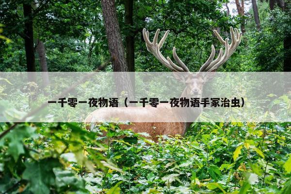 一千零一夜物语（一千零一夜物语手冢治虫）