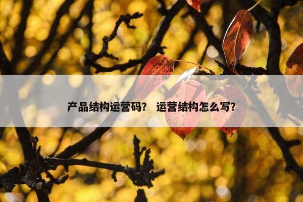 产品结构运营码？ 运营结构怎么写？