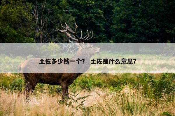 土佐多少钱一个？ 土佐是什么意思？